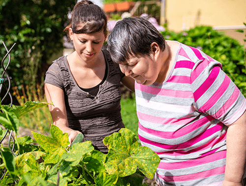 Image showing a carer helping a resident in their garden