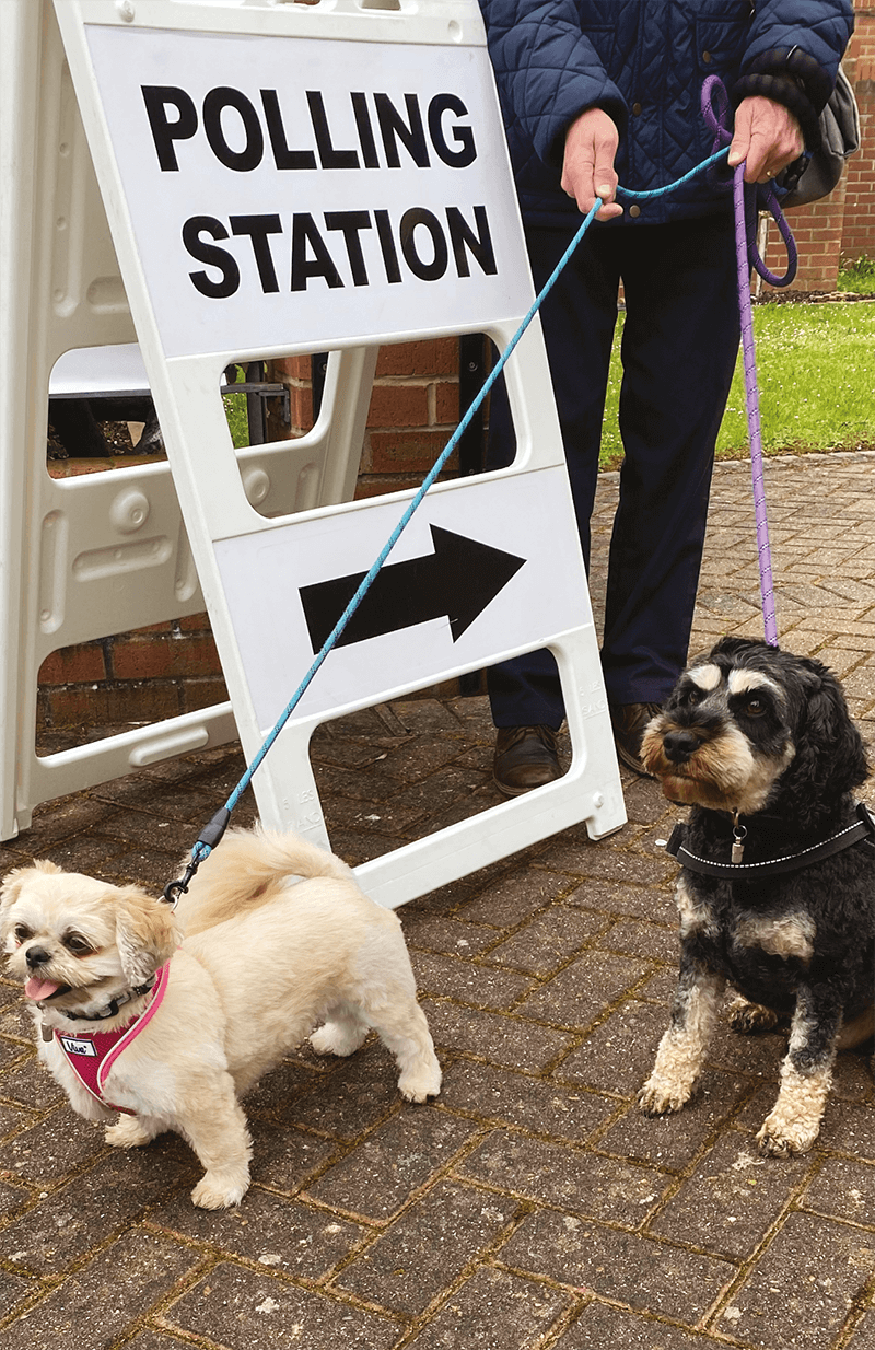 Two dogs and owner standing next to a polling station sign