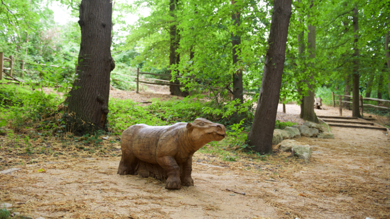 Lesnes Abbey Woods Fossil Pit