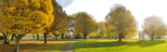 Sidcup Place in Autumn